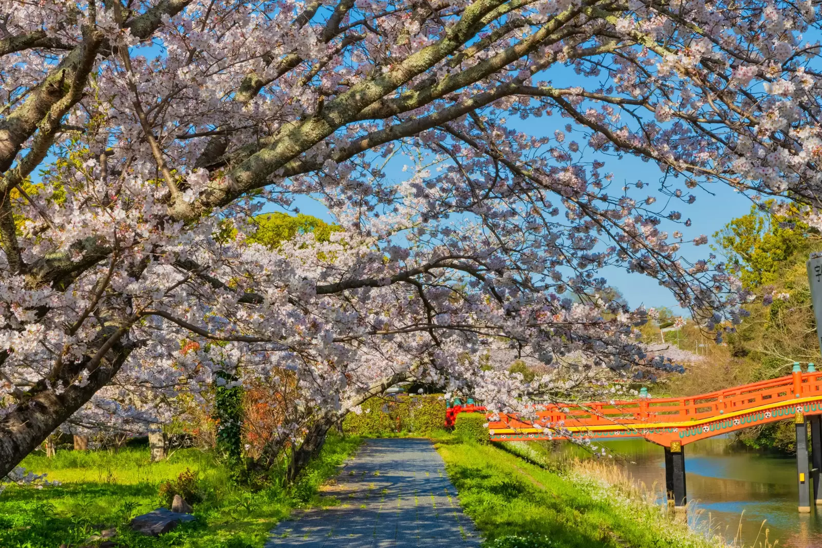 Yokohama