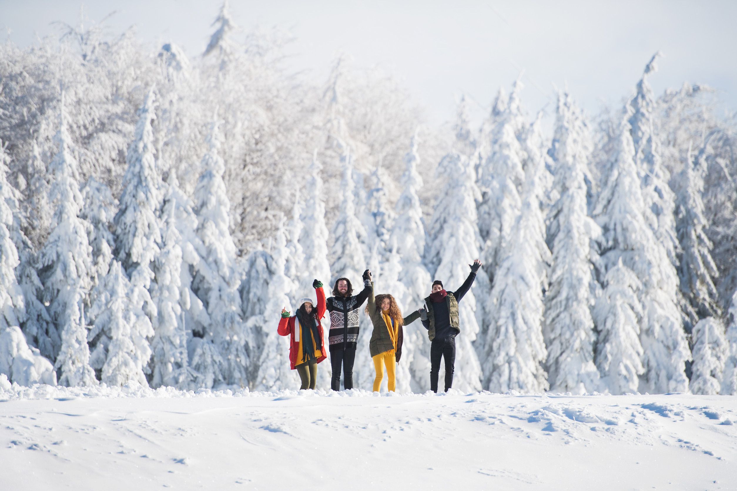 A Group Of Young Friends On A Walk Outdoors In Snow In Winter Standing