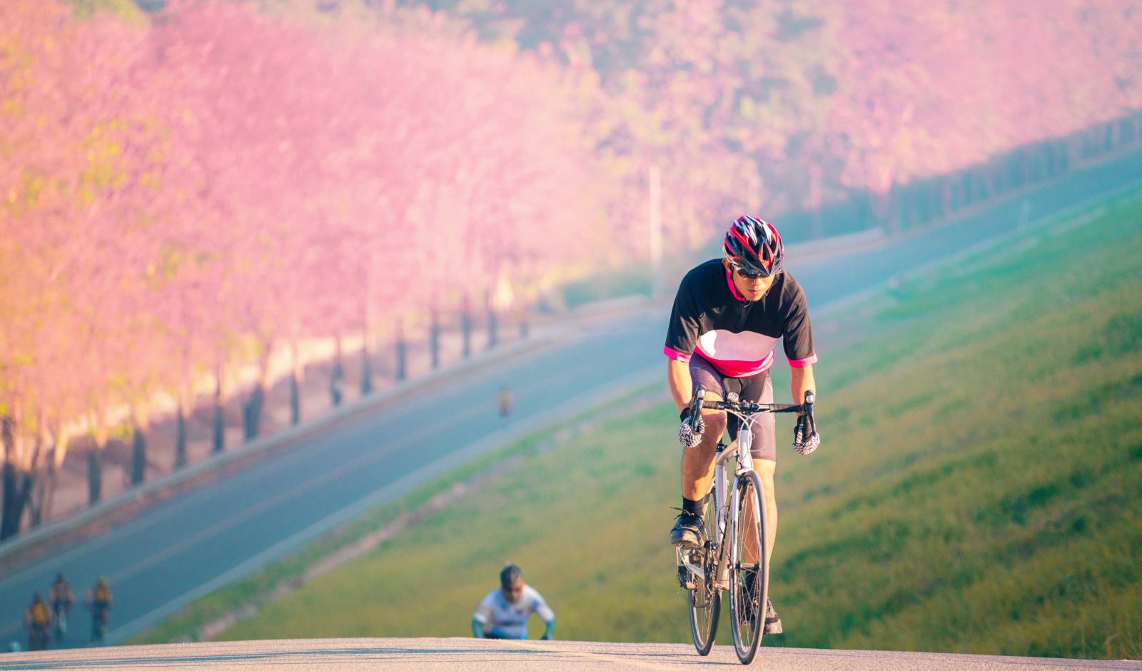 A Person Bicycling In Japan 