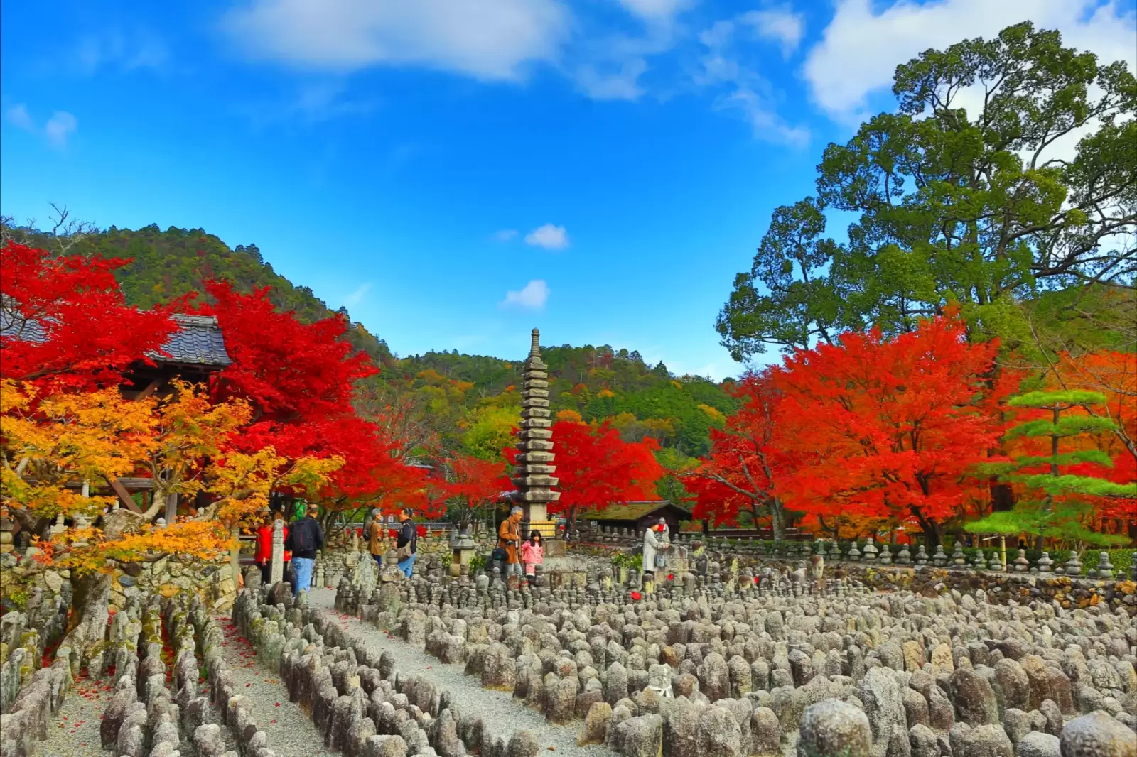 adashino nenbutsuji
