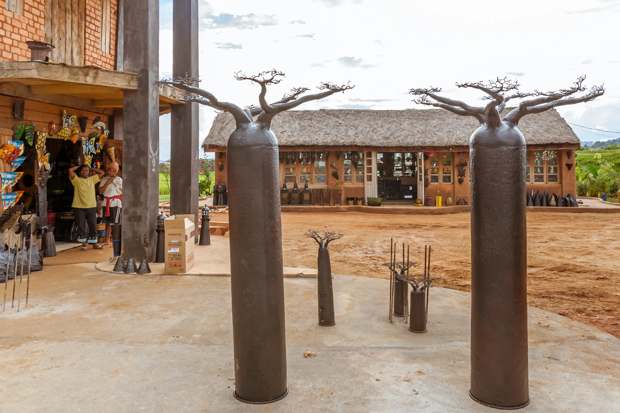 antananarivo madagascar exhibition of baobabs