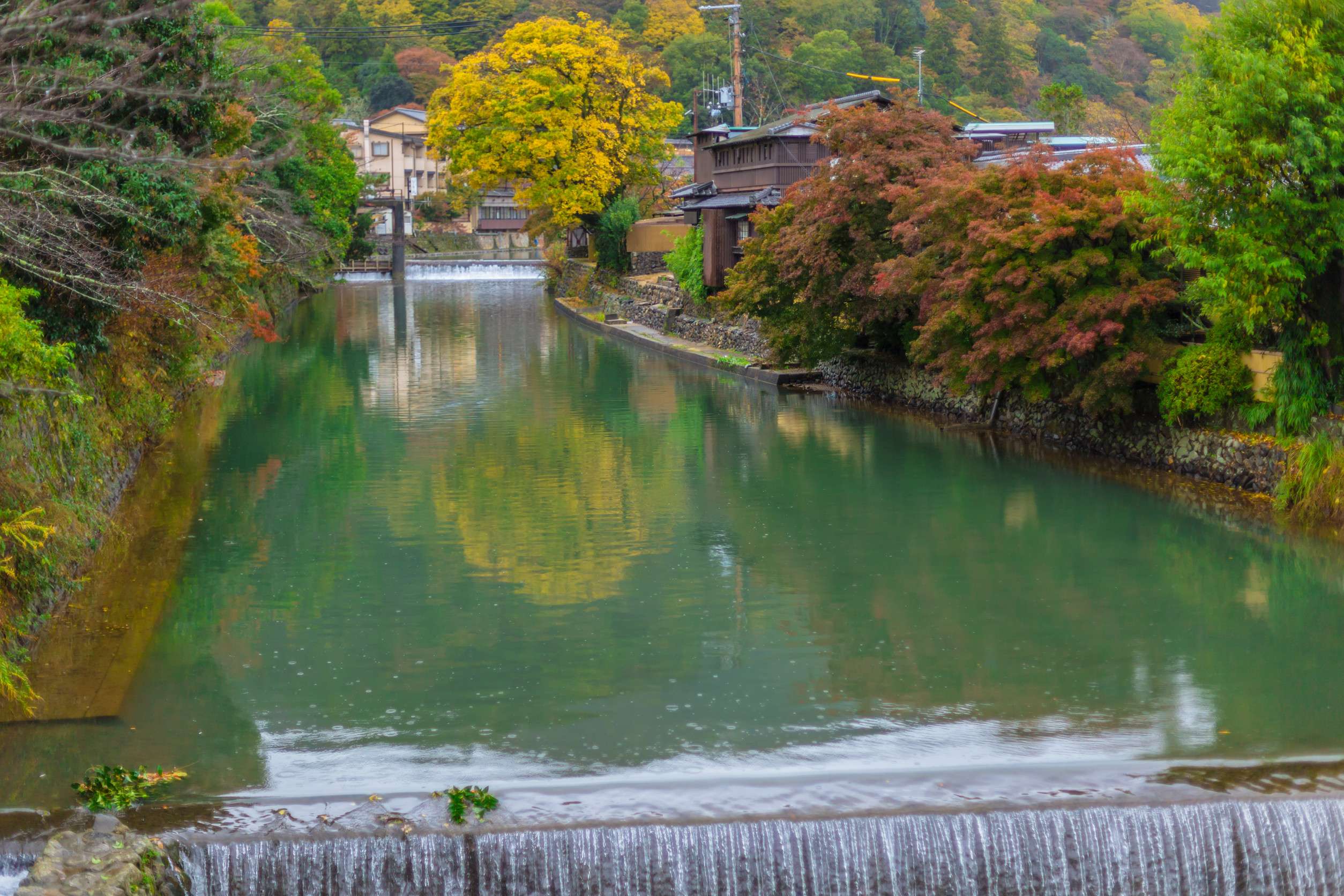 Beautiful Nature Green Tree Landscape Of Countryside In Kyoto