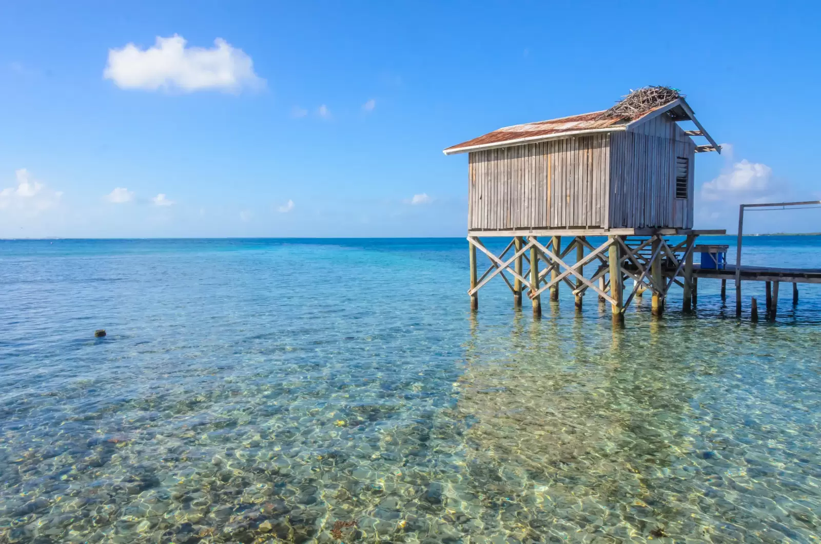 bungalow on small tropical island at barrier reef