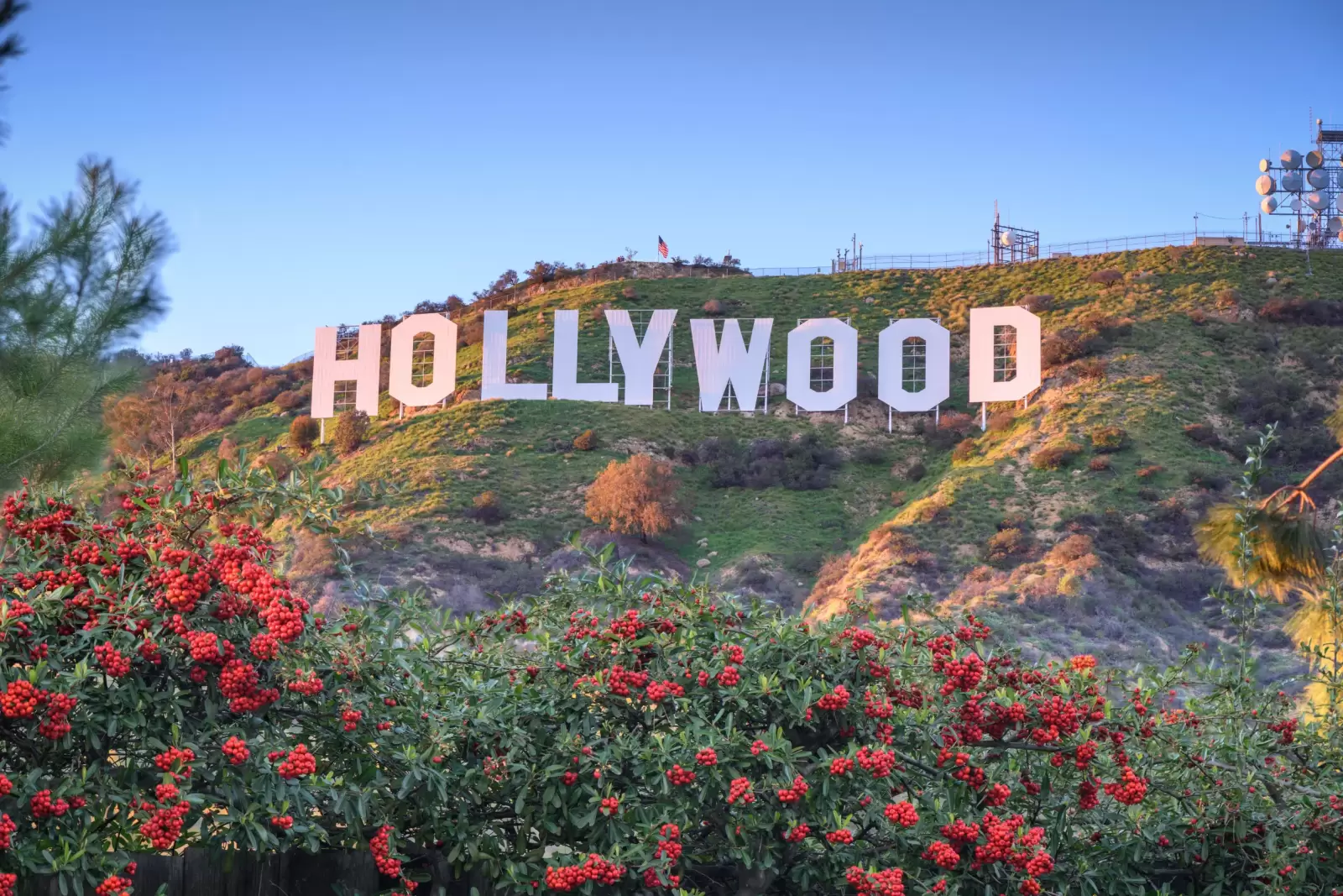 hollywood california