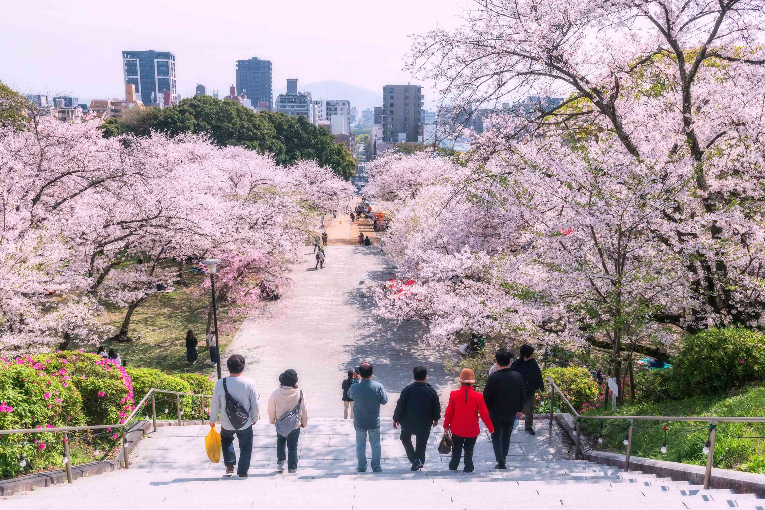 Japanese People At Hilltop Park Landmark