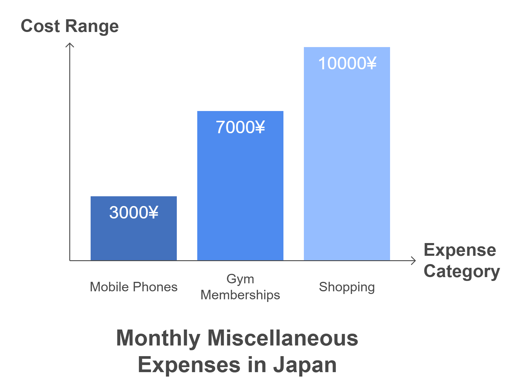 Miscellaneous Expenses Miscellaneous Expenses