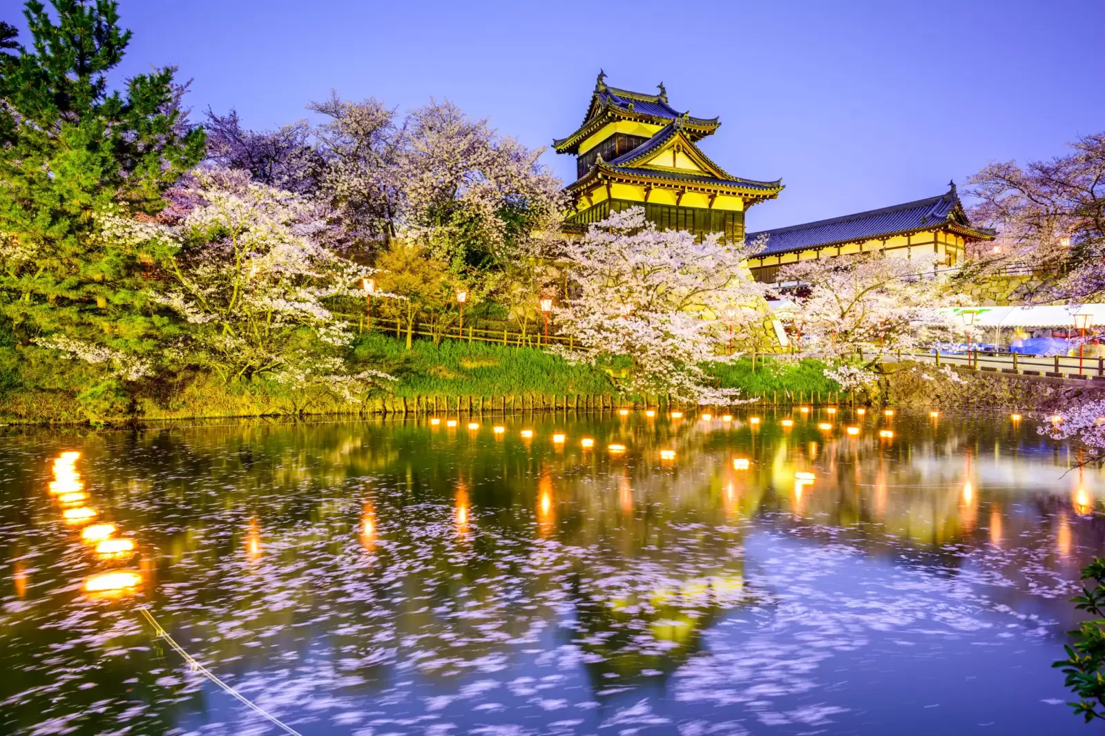 nara japan at koriyama castle in the spring