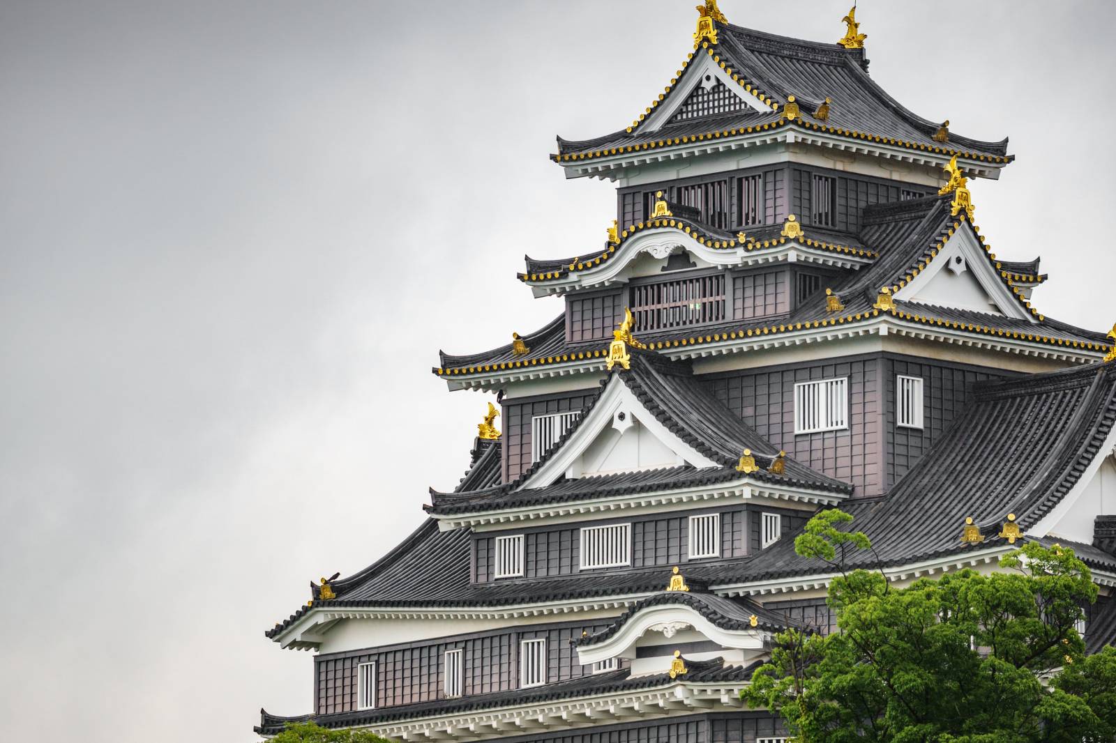 Payment Methods For The Japan Evisa Fee