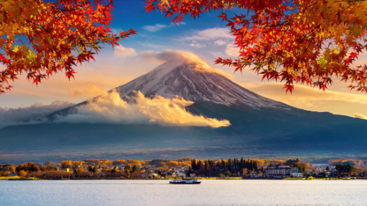 The Japan e-Visa