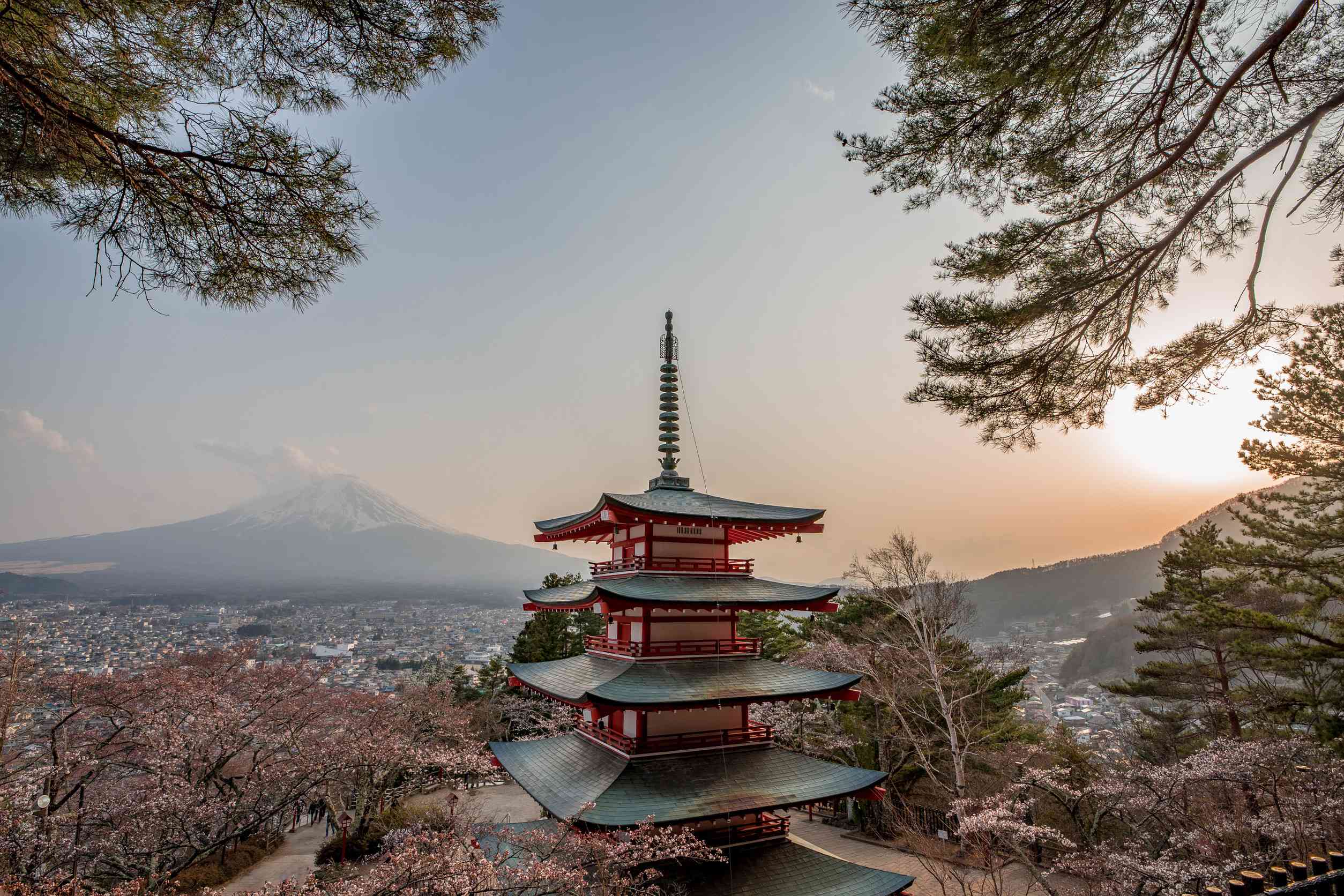 The Mount Fuji With Some Cherry Blossoms