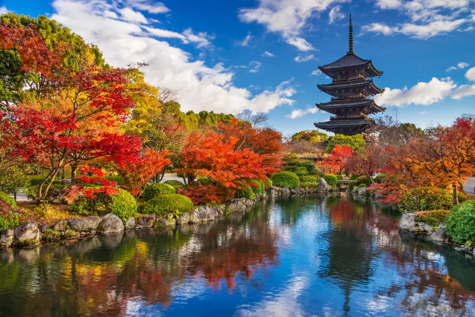 to ji pagoda in kyoto japan during the fall season