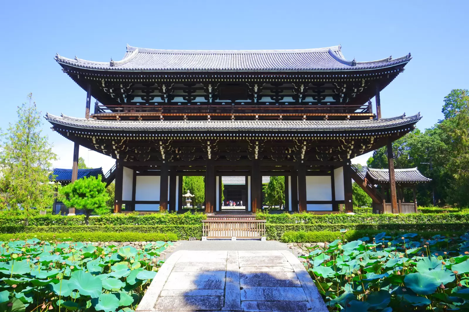 tofukuji temple kyoto city kyoto pref japan