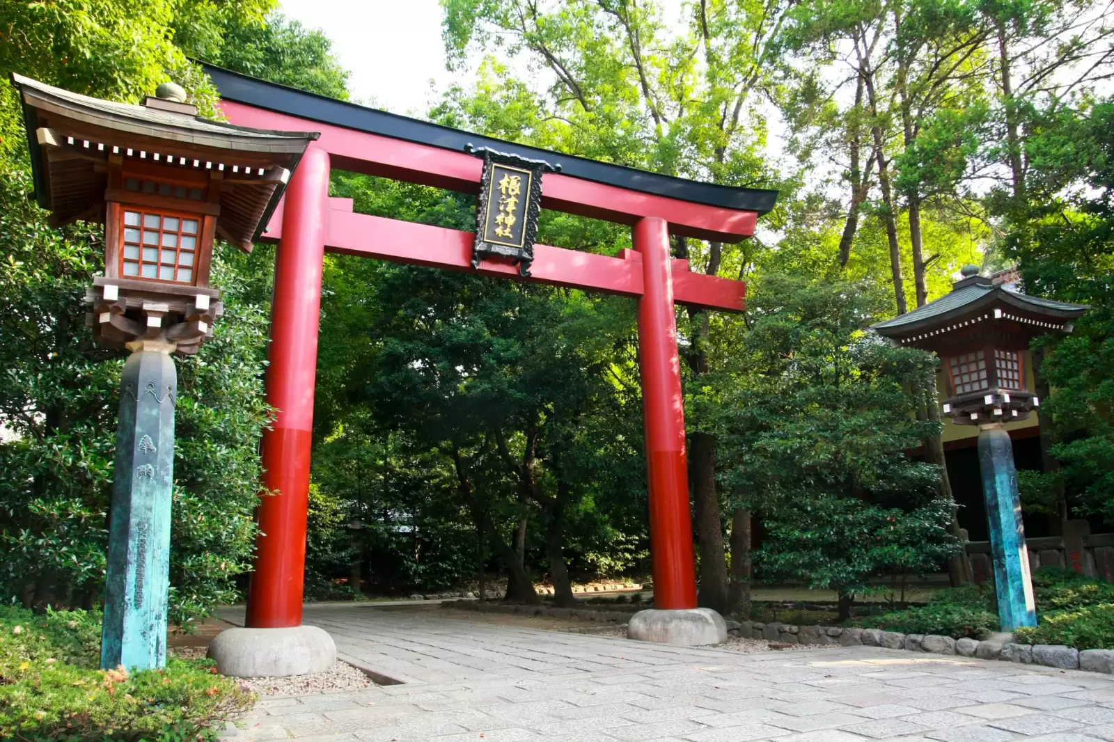 torii gate at temple in tokyo