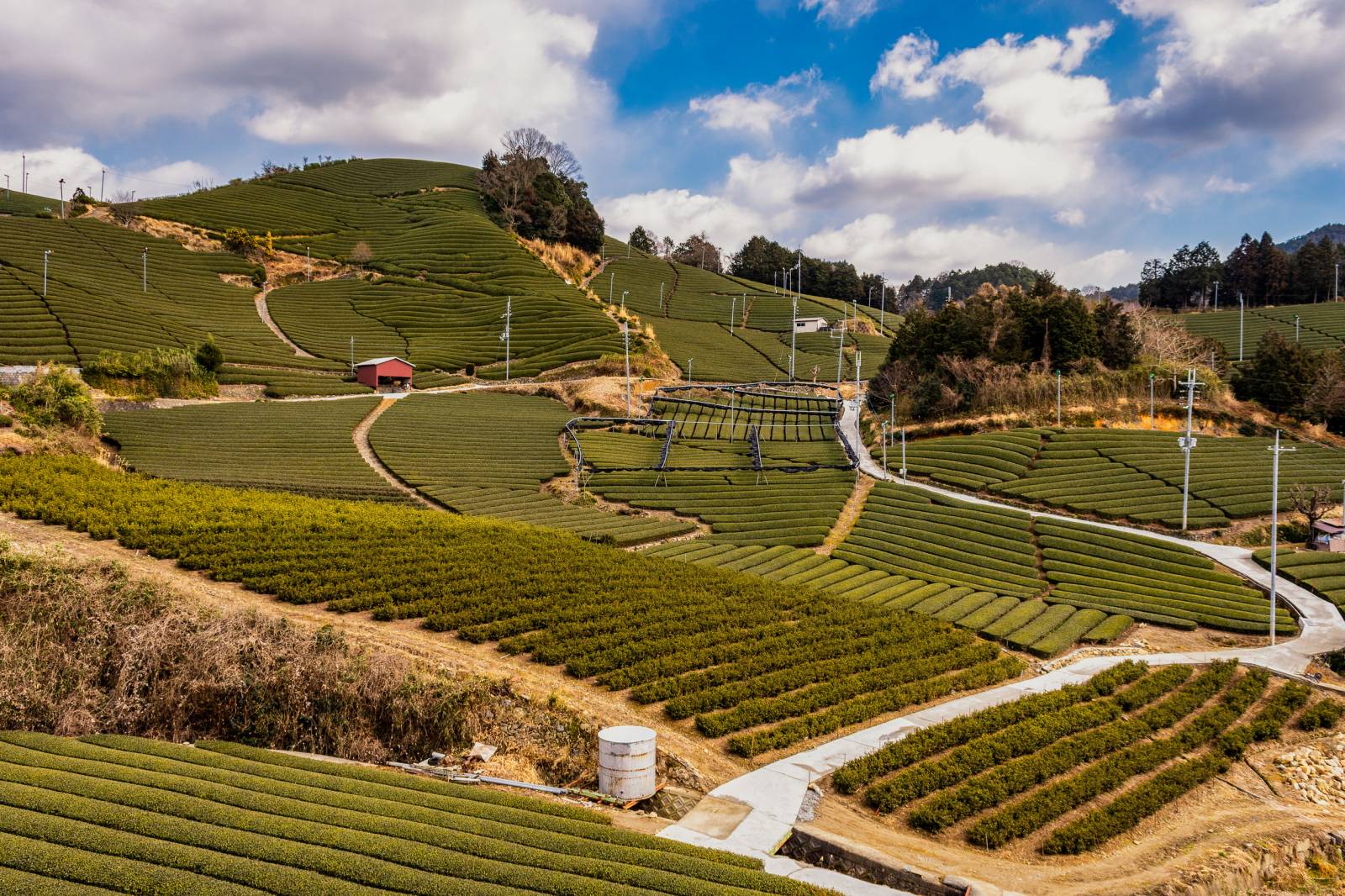Uji Japan Tea Capital