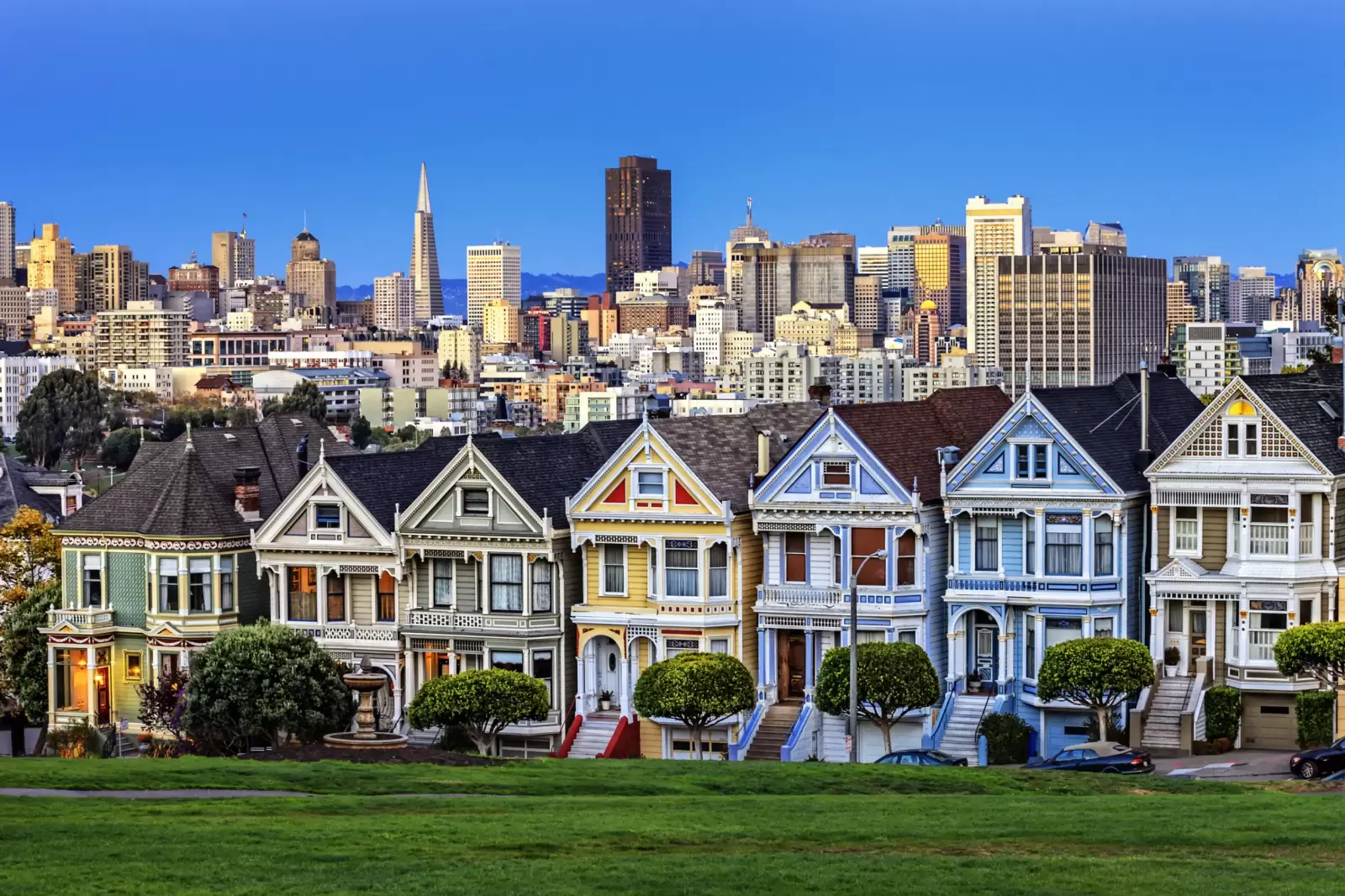 view from alamo square at twilight san francisco