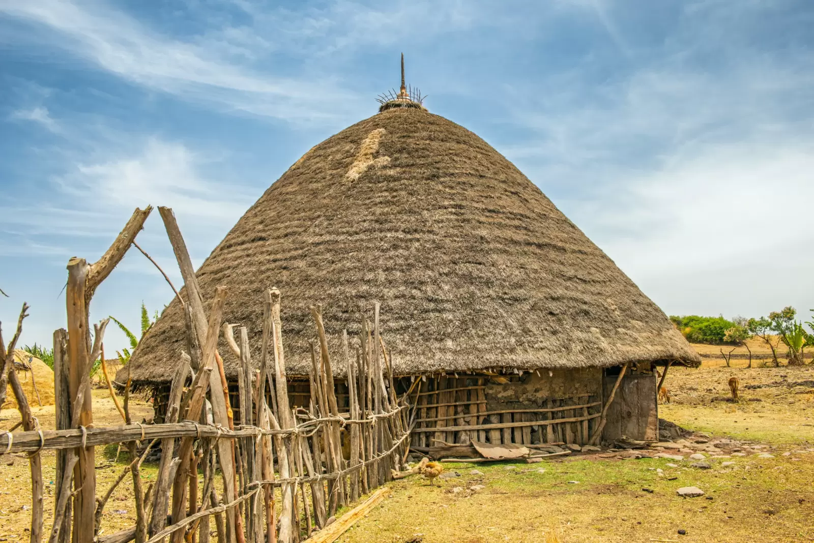 village house near addis ababa ethiopia africa