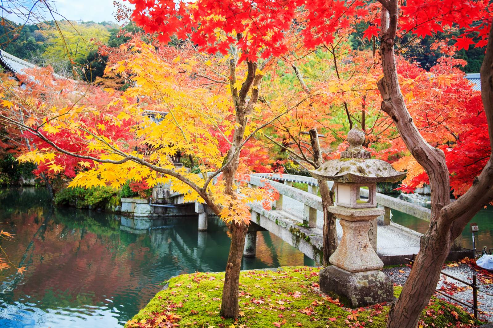 What To Pack For Autumn In Japan What To Pack For Autumn In Japan