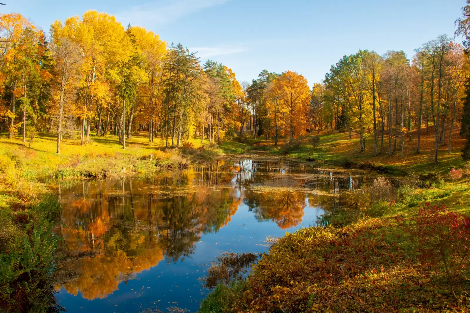 wonderful autumn landscape with beautiful yellow and orange colored trees lake